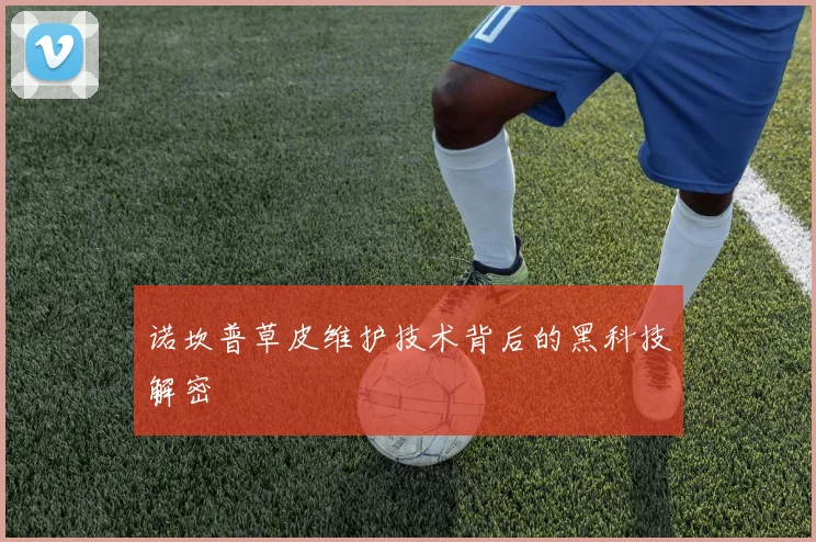 诺坎普草皮维护技术背后的黑科技解密