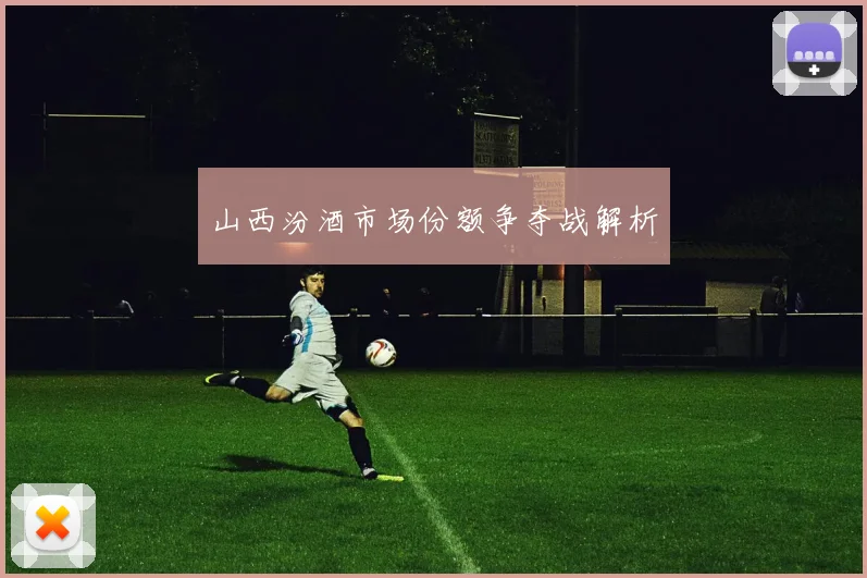 山西汾酒市场份额争夺战解析