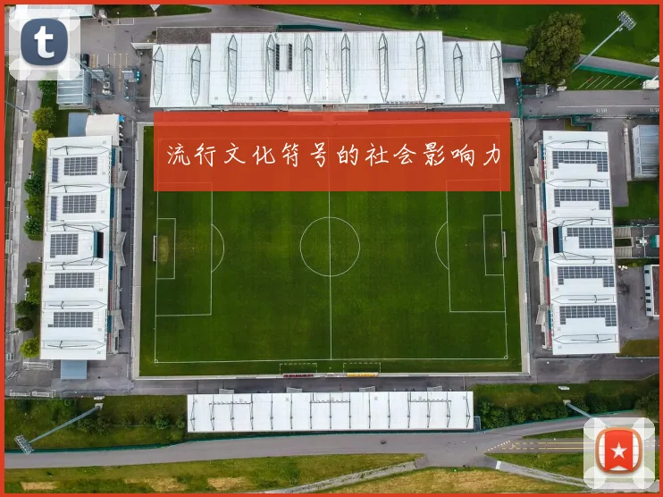 流行文化符号的社会影响力