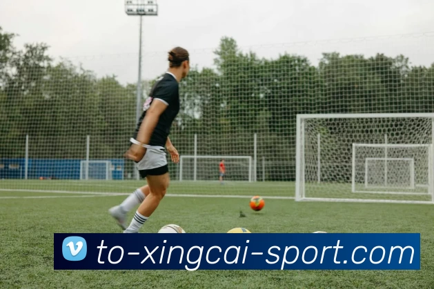 杏彩APP 体育赛事宣传图